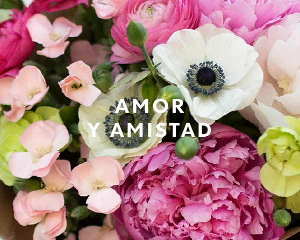 AMOR Y AMISTAD AMOR Y AMISTAD